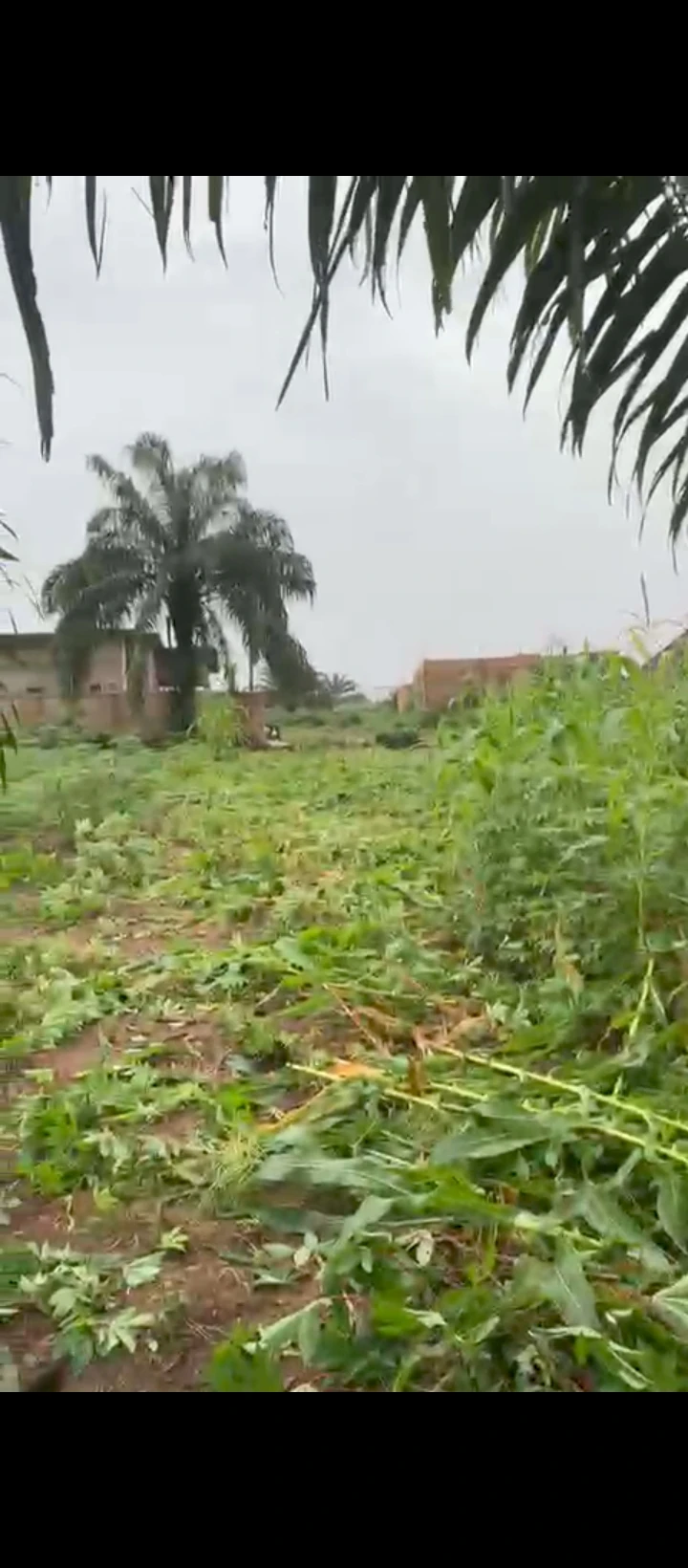 property cover photo