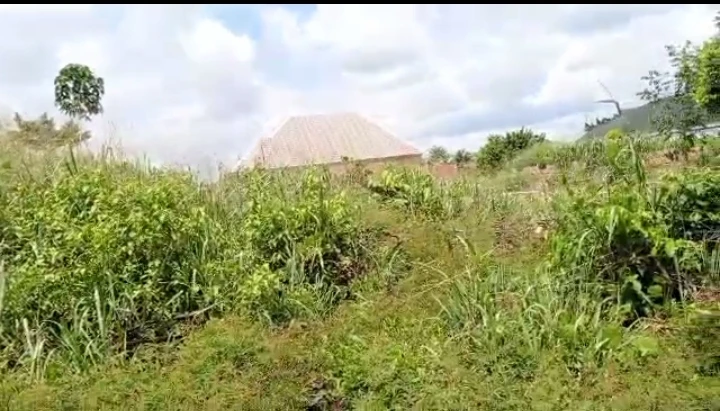 Land for Sale in Uwo, Edo cover picture