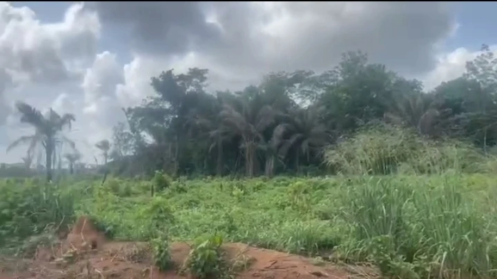 Land for Sale in Upper Ekehuaw, Edo cover picture