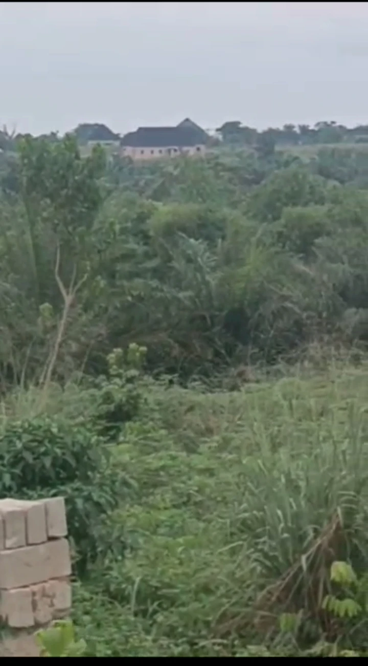 Land for Sale in Arougba, Edo cover picture