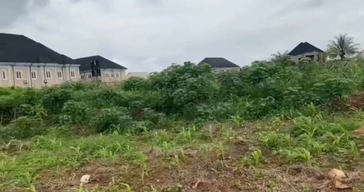 property cover photo