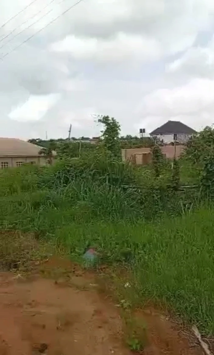 property cover photo