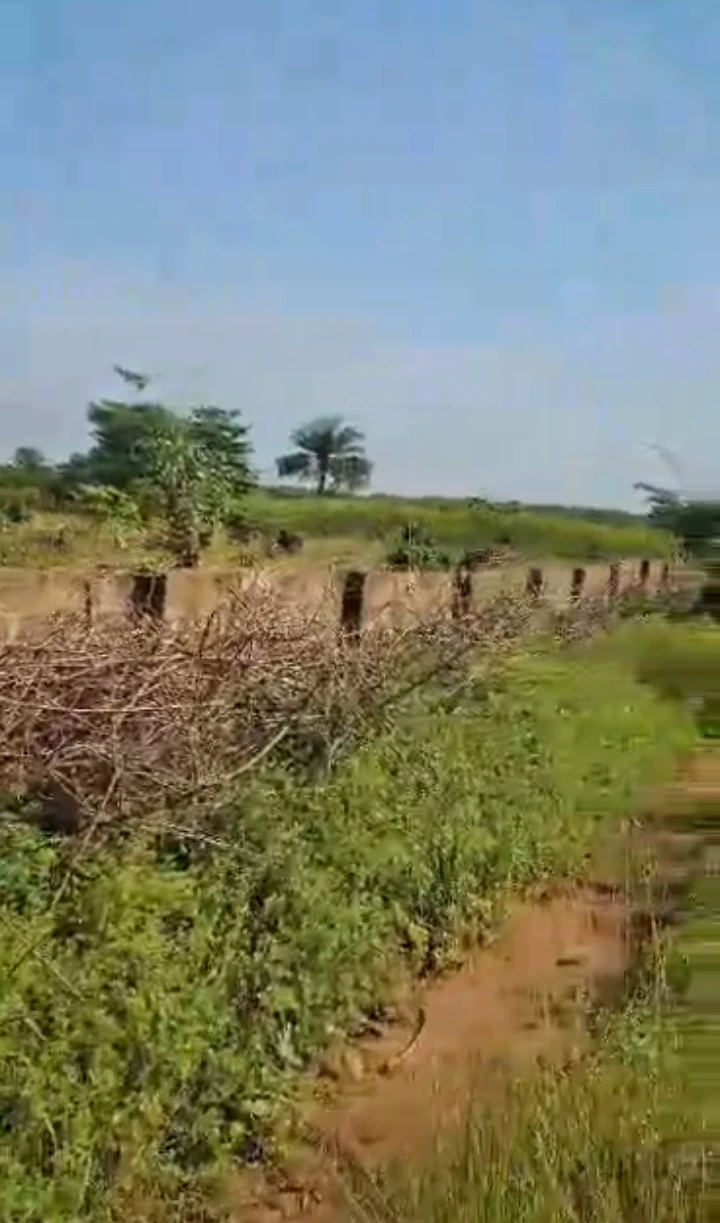 property cover photo