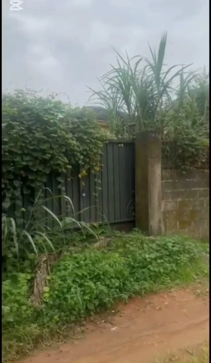 property cover photo