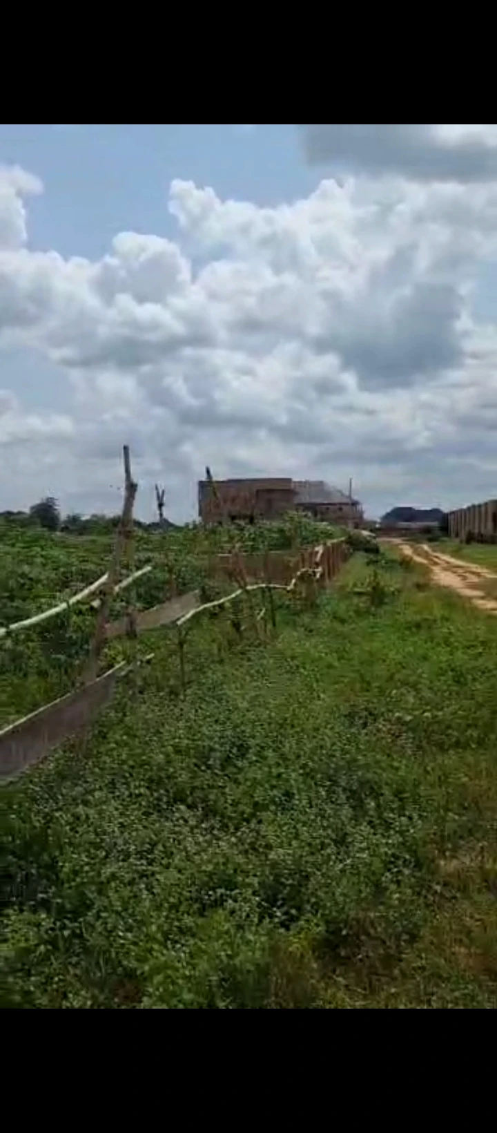 Land for Sale in Amagba, Edo cover picture