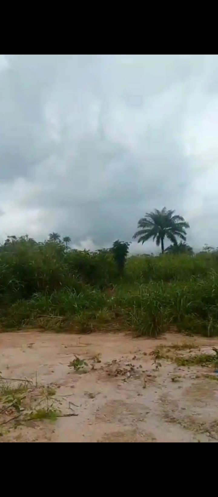 property cover photo