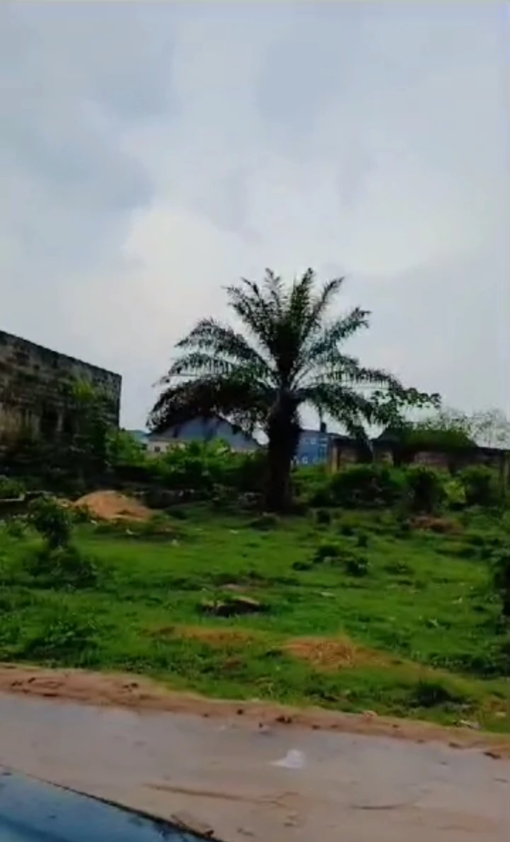 property cover photo