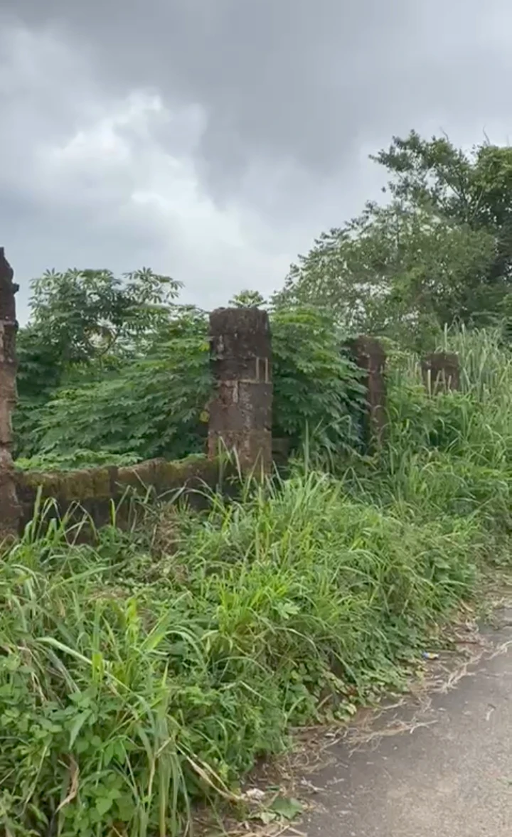 property cover photo