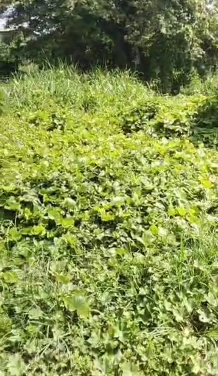 property cover photo