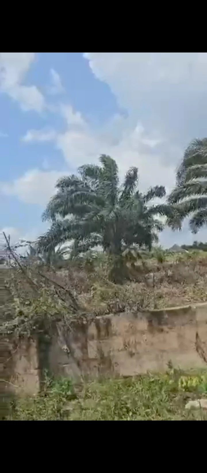 Land for Sale in Obagie road, Edo cover picture