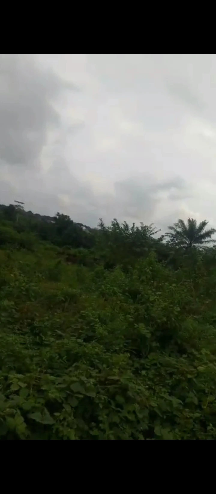 Land for Sale in AMAGBA, Edo cover picture