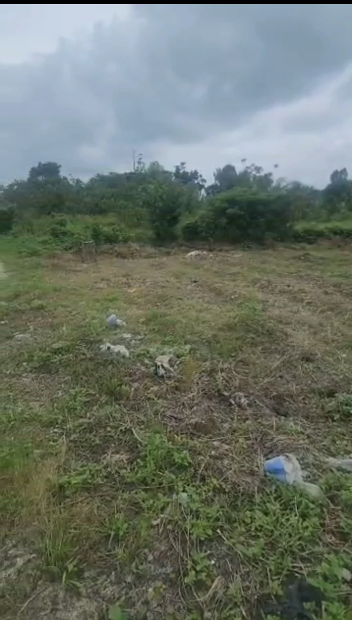 property cover photo