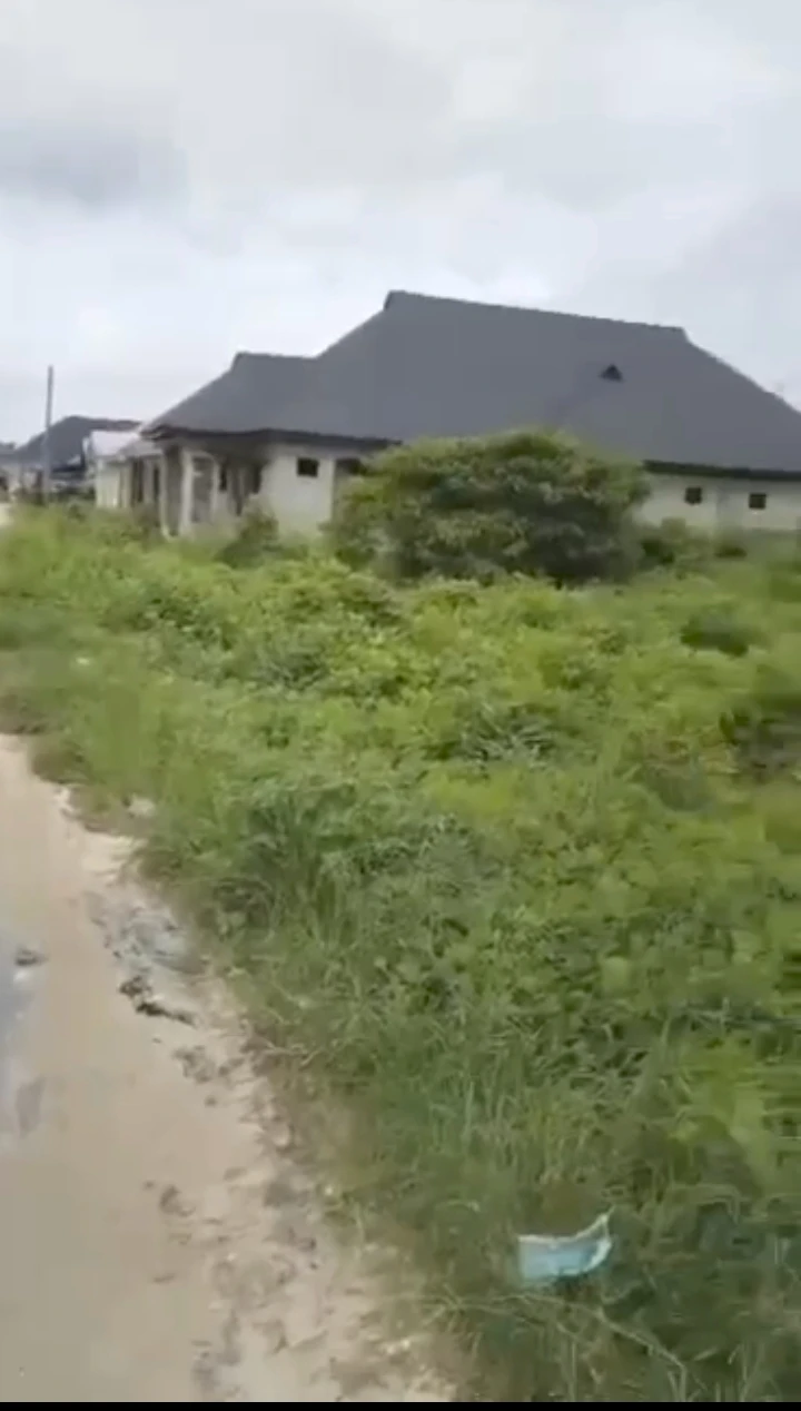 property cover photo