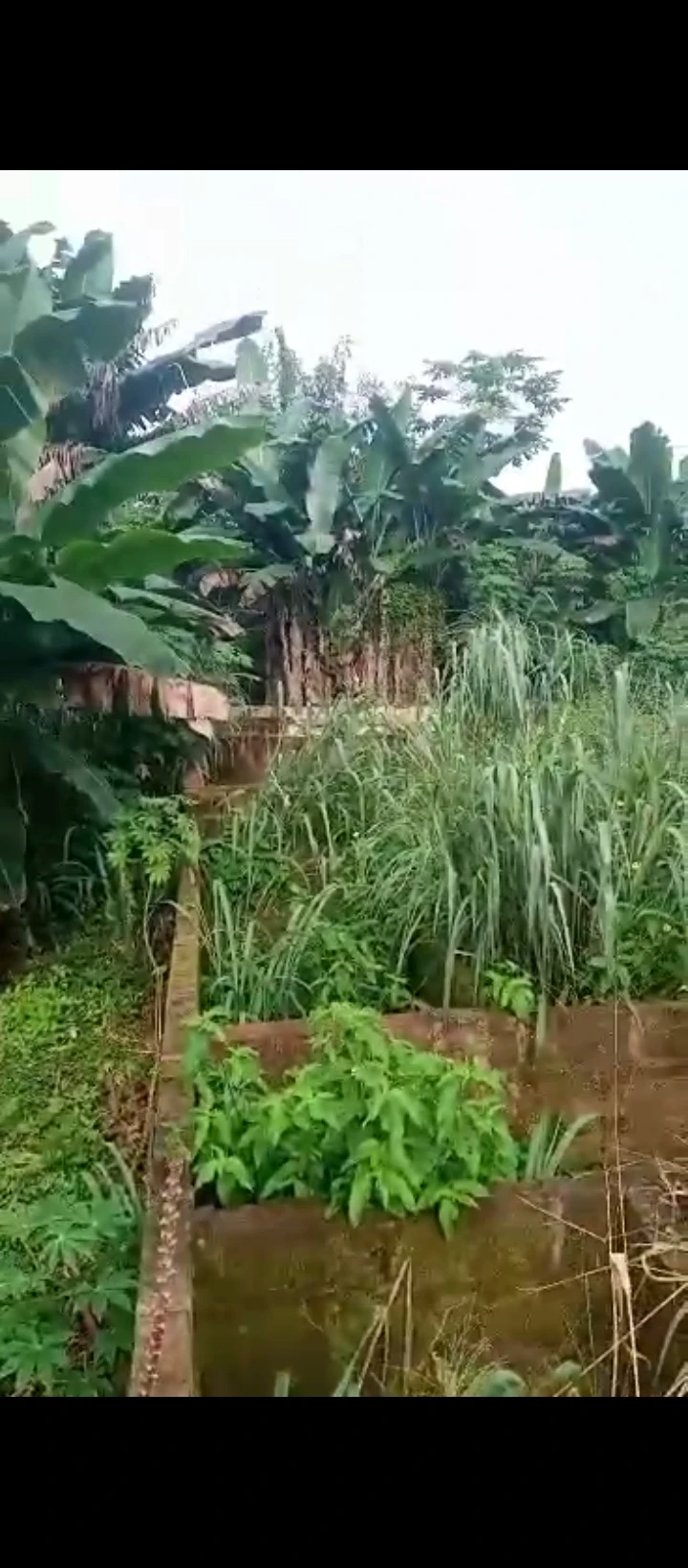 Uncompleted Building for Sale in Uhie sapele road, Edo cover picture
