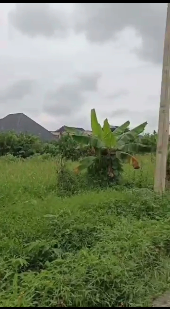 property cover photo