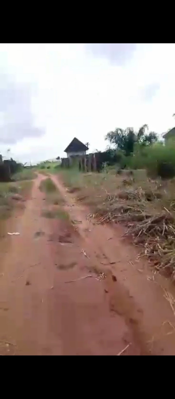 Land for Sale in Nevbosa ogheghe sapele road, Edo cover picture
