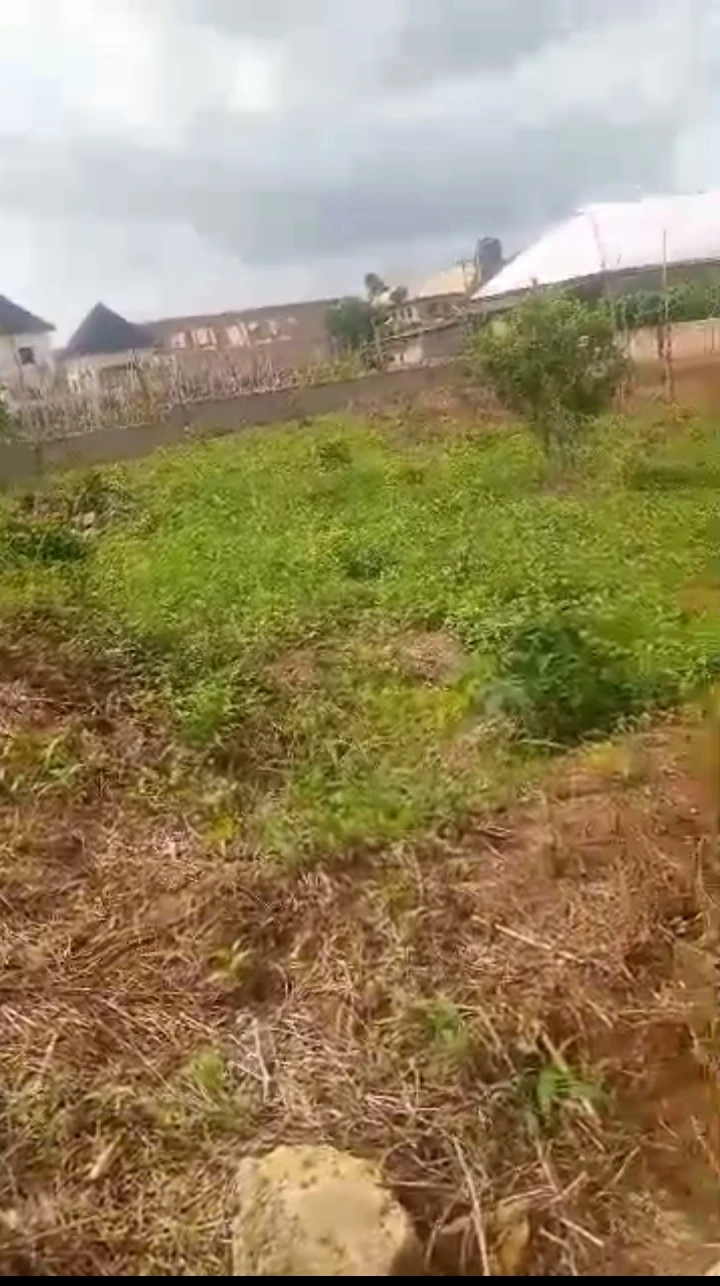 Land for Sale in Amagba, Edo cover picture