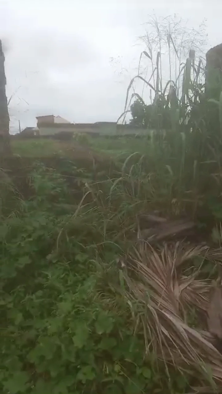 Land for Sale in Miller road by Ugbor, Edo cover picture