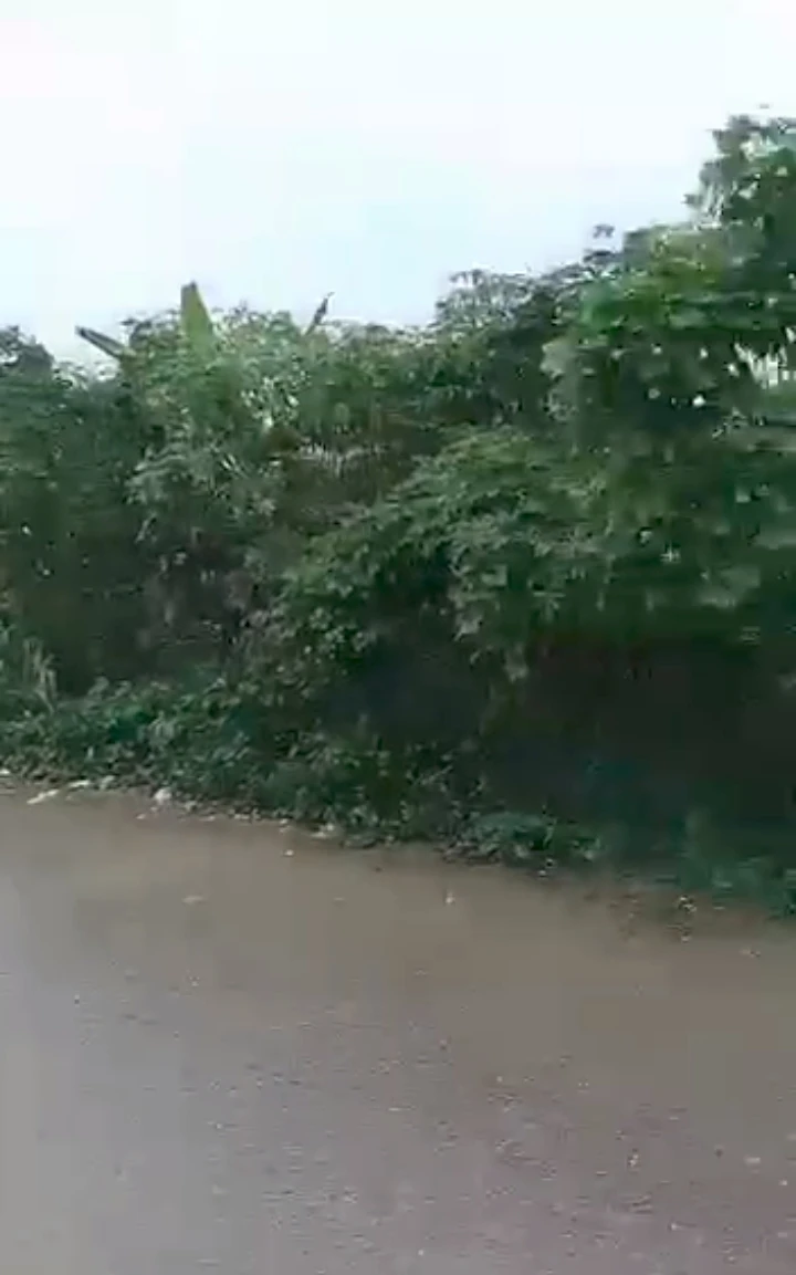 property cover photo