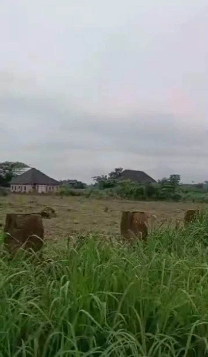 property cover photo