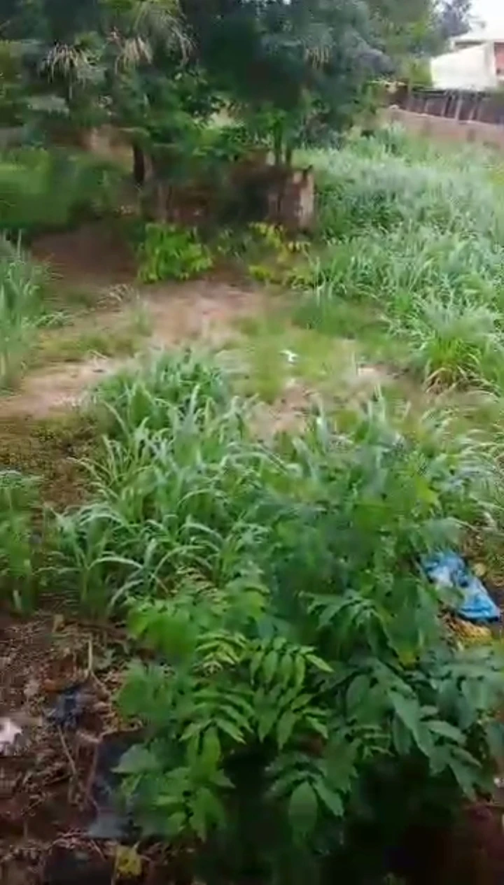 Land for Sale in Ugbowo, Edo cover picture