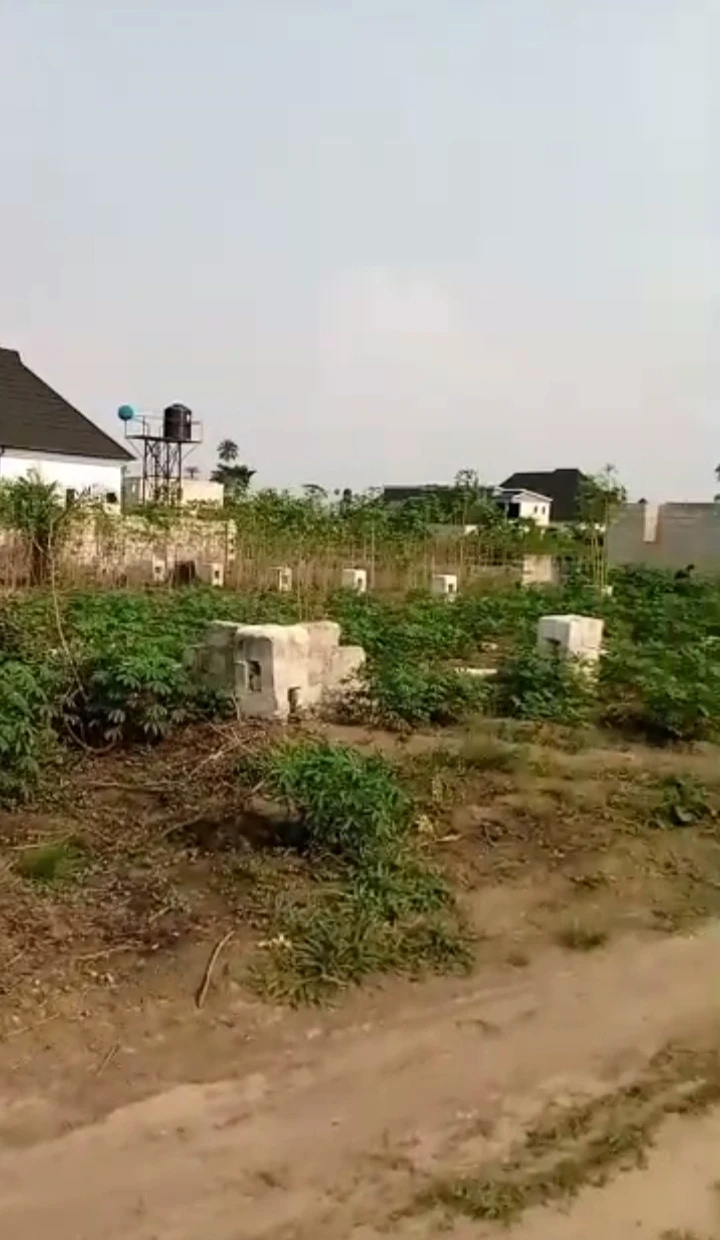 property cover photo