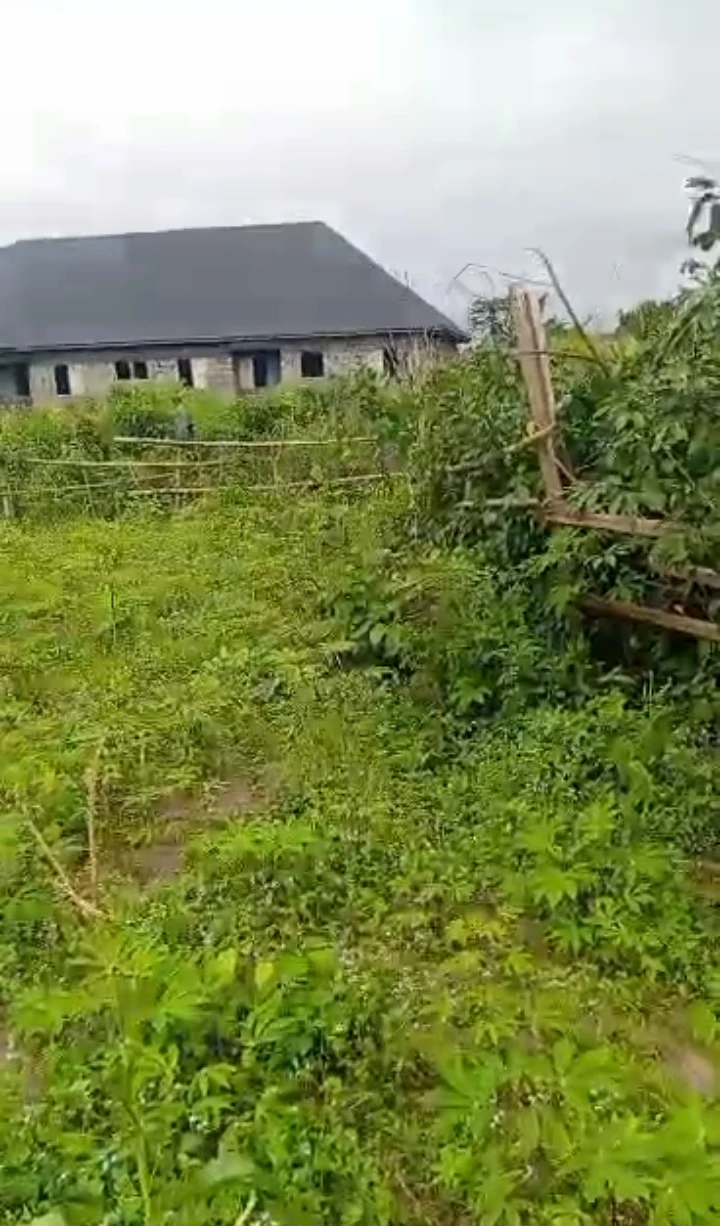 property cover photo