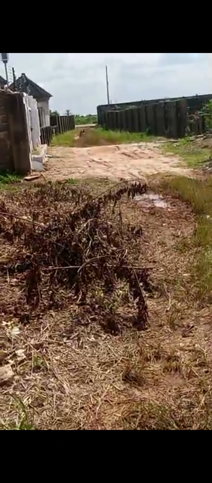 Land for Sale in Benin city, Edo cover picture