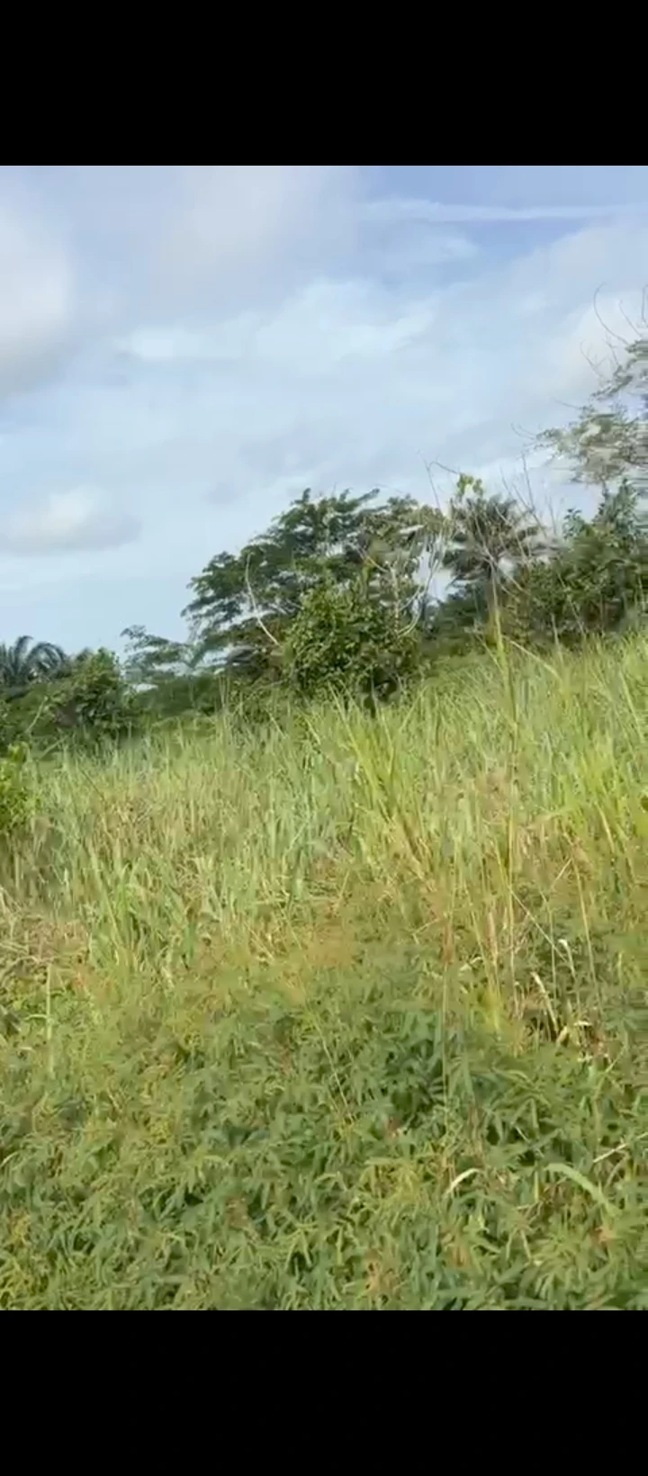 Land for Sale in Obayator, Edo cover picture