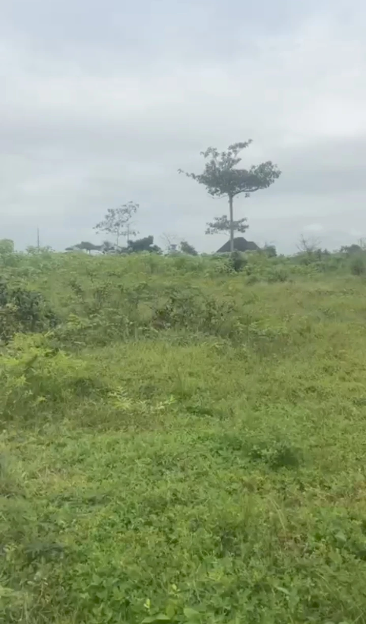 property cover photo