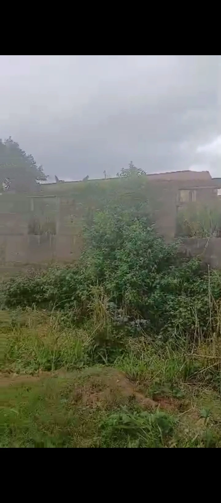 property cover photo