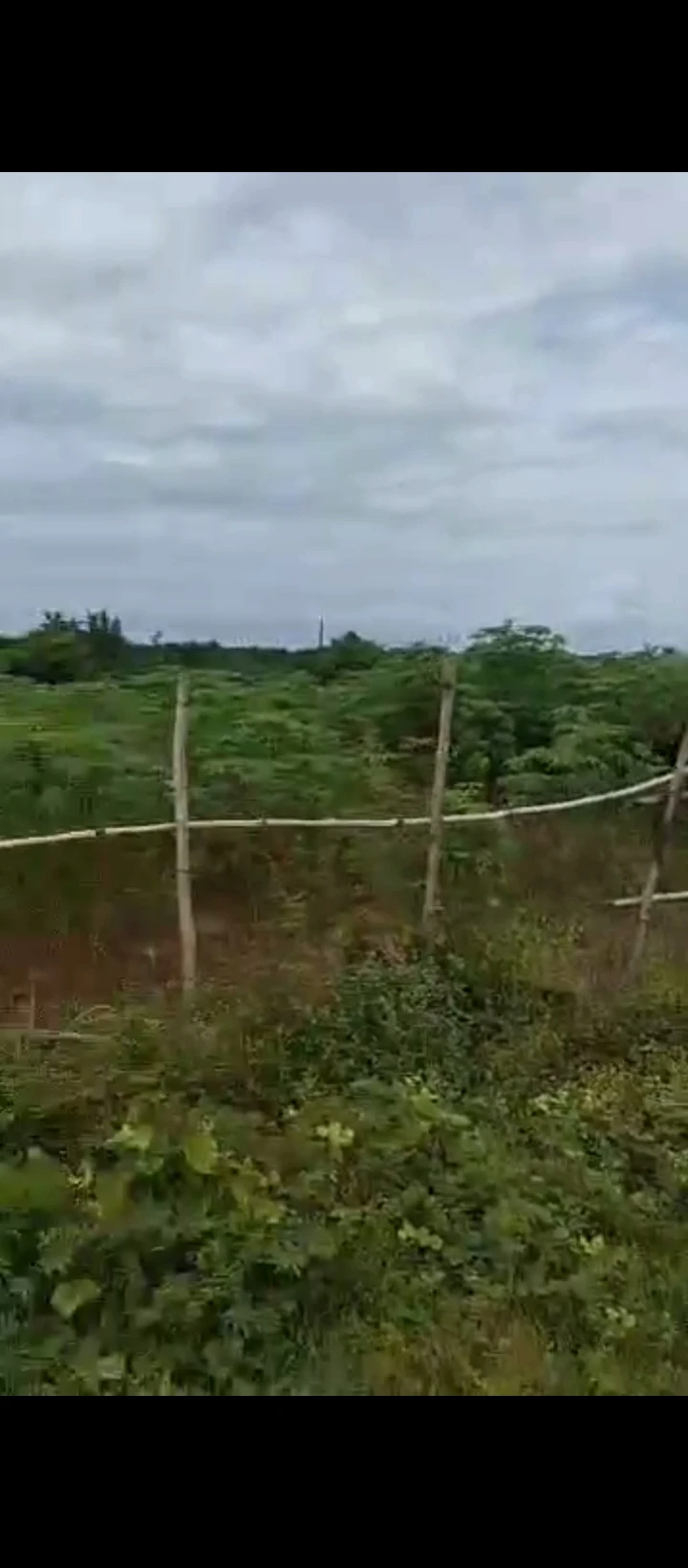 Land for Sale in Amagba GRA, Edo cover picture