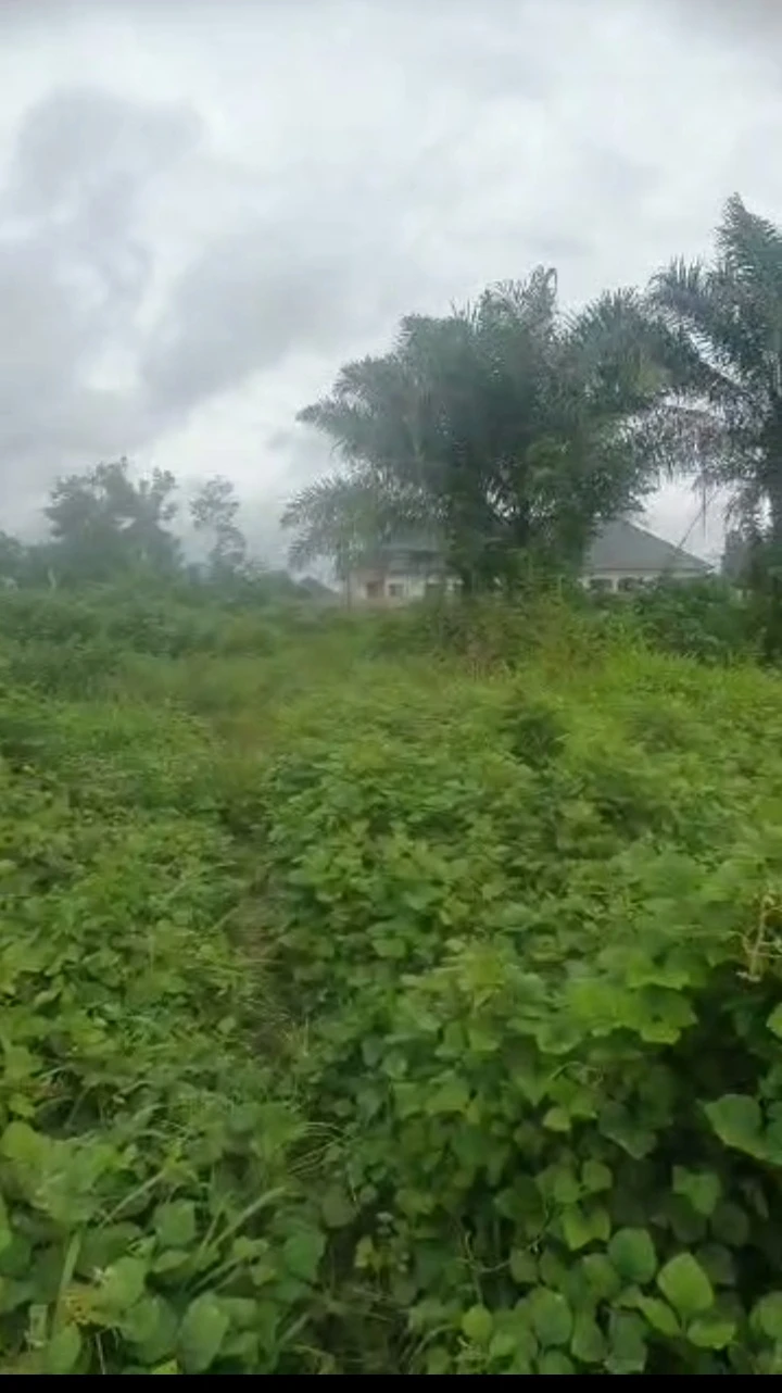 property cover photo