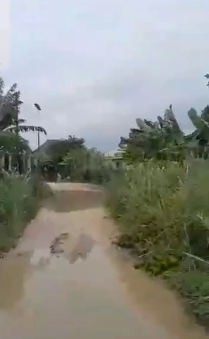 property cover photo