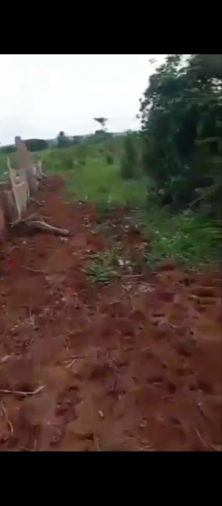 Land for Sale in EKHIADOLOR, Edo