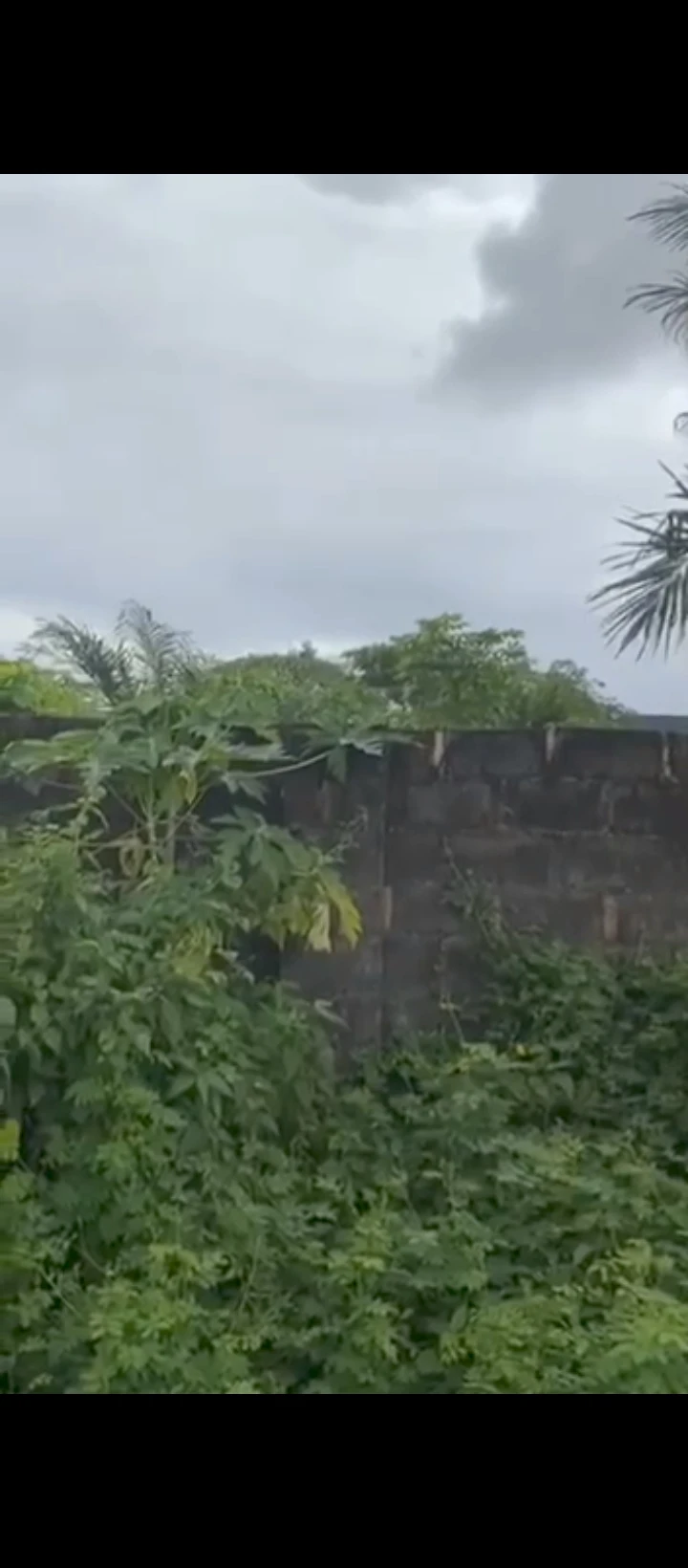 Land for Sale in Amagba, Edo cover picture
