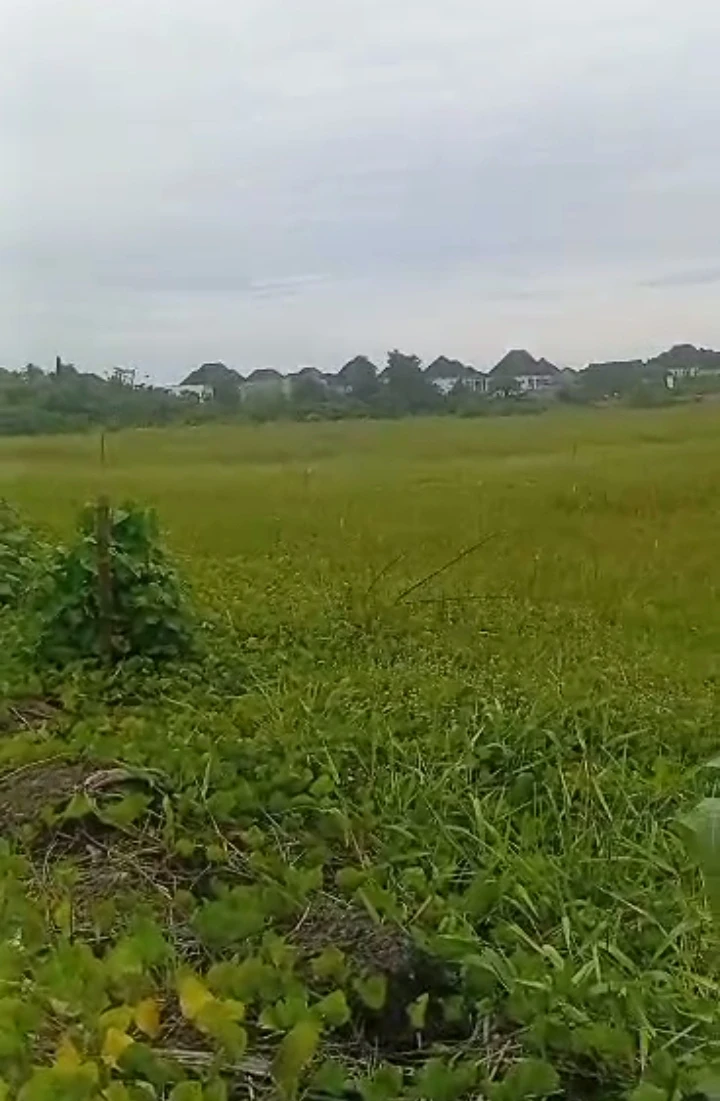 property cover photo