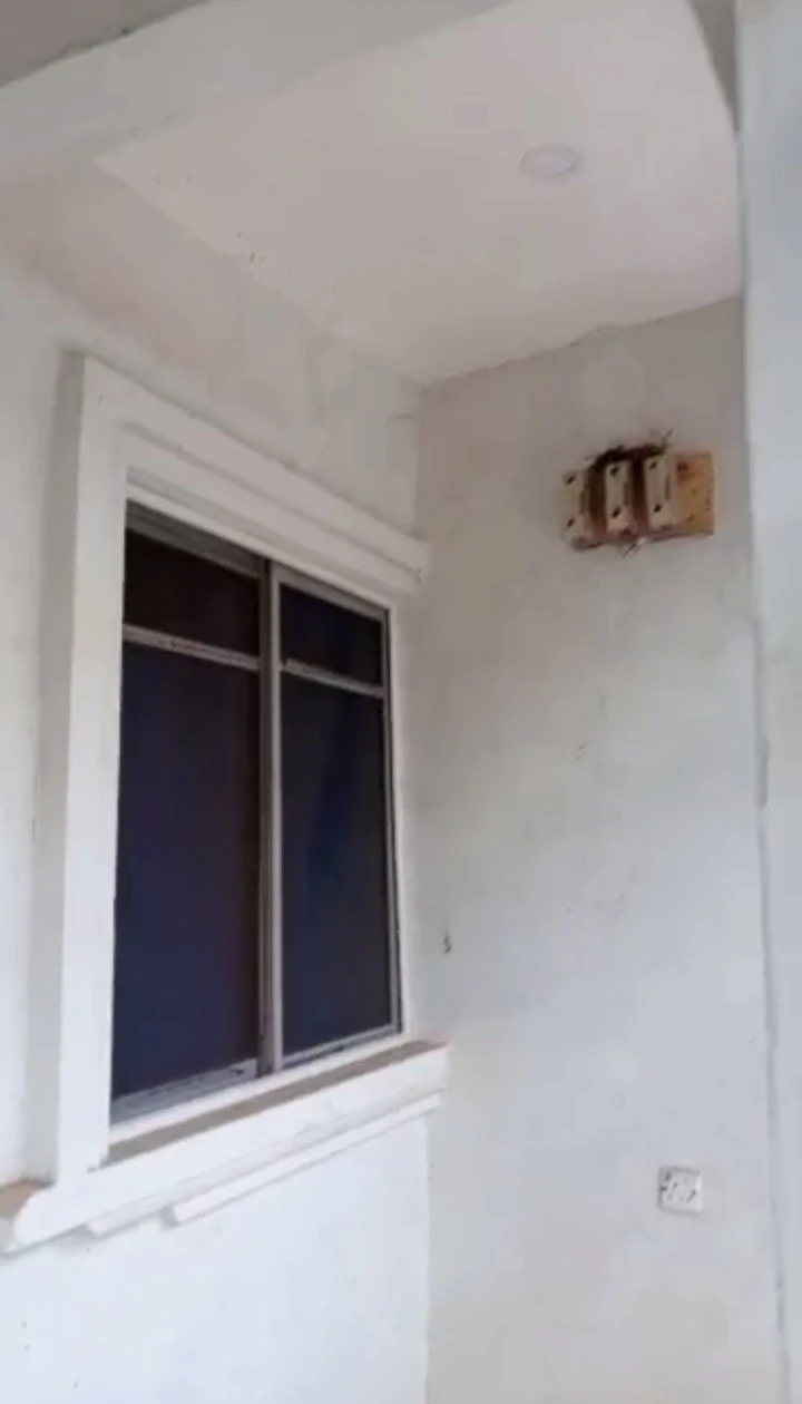 1 Bedroom Flat for Rent in Ogheghe community, Edo cover picture