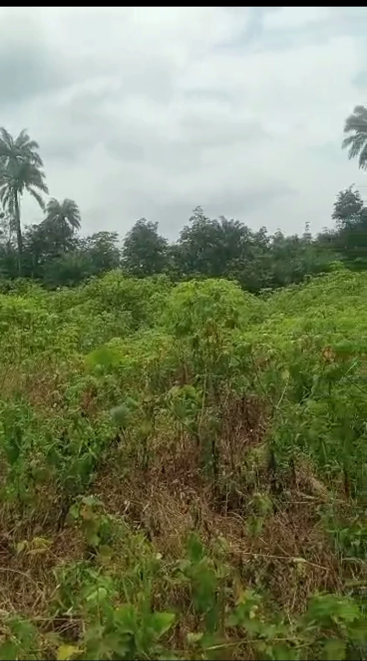 property cover photo