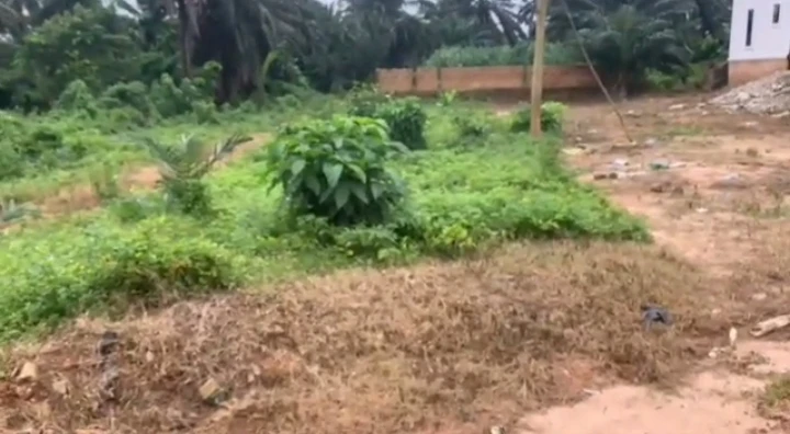 Land for Sale in Falanu country home, Edo