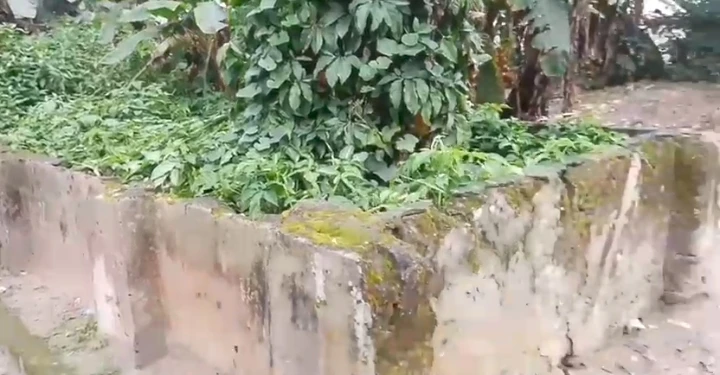 property cover photo