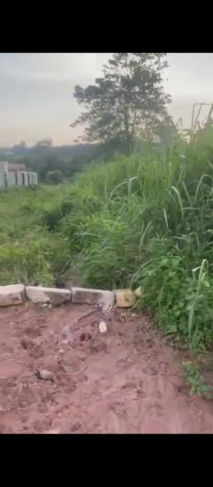 property cover photo