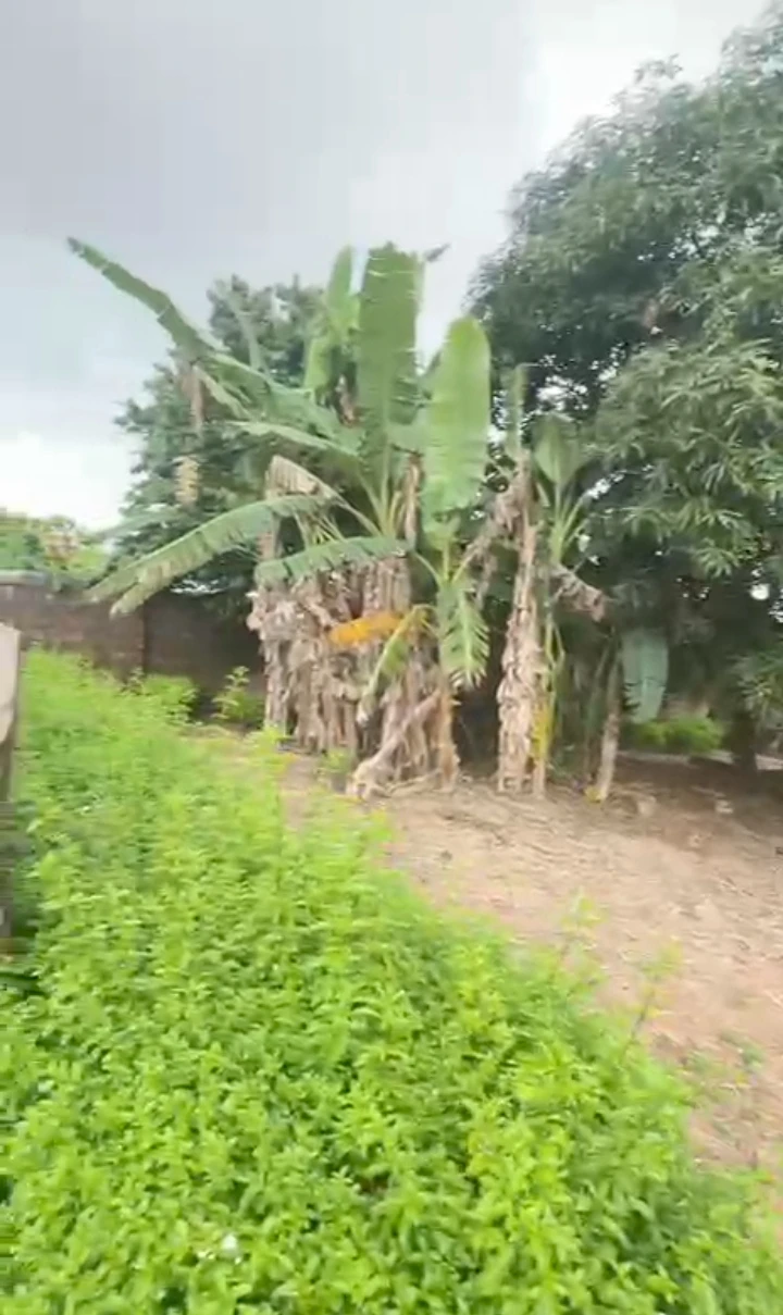 property cover photo