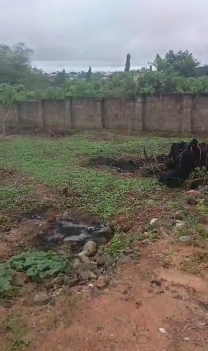 property cover photo