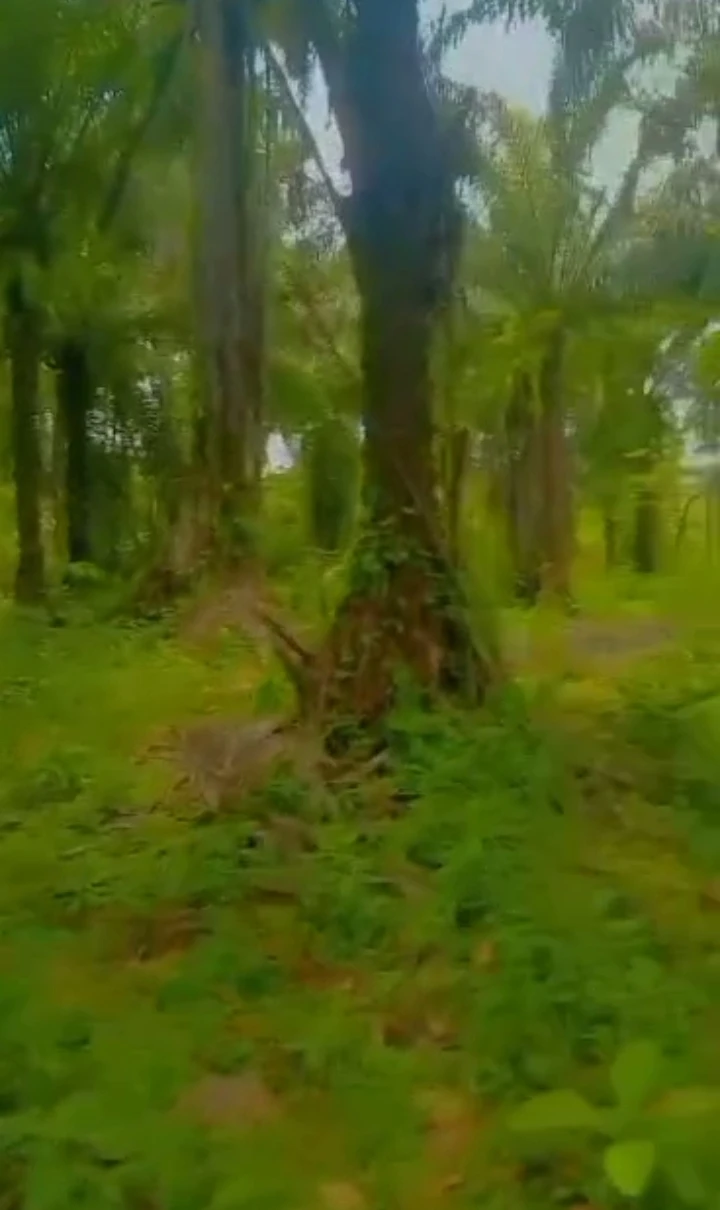 property cover photo