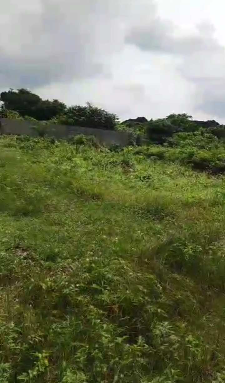 property cover photo