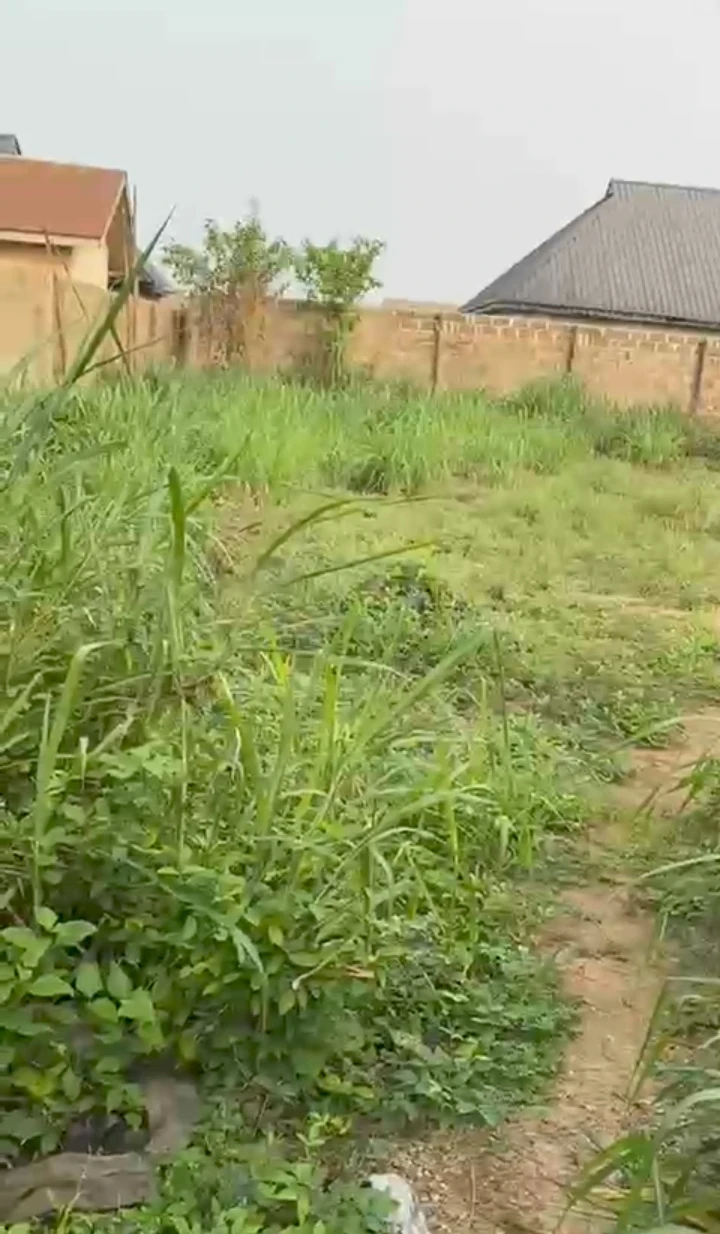 property cover photo