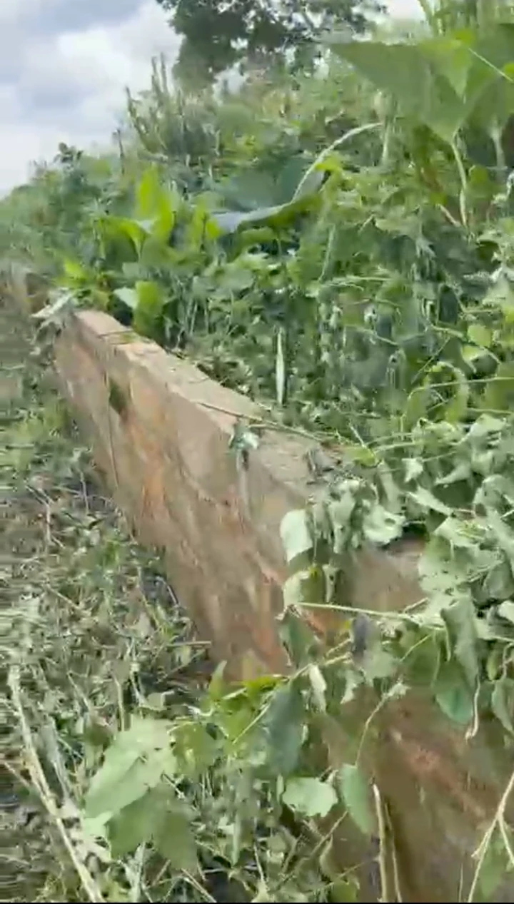 property cover photo