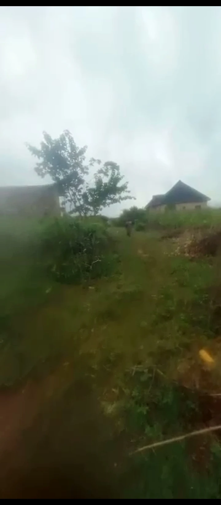 Land for Sale in Obagie road, Edo cover picture