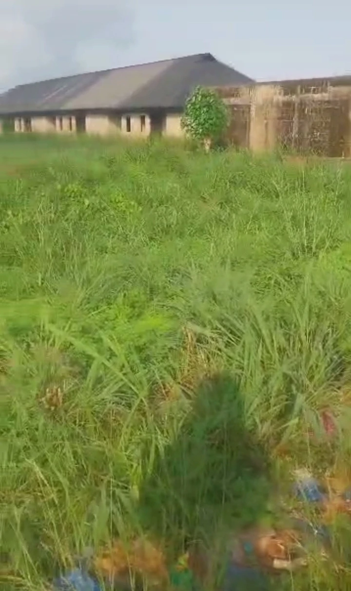 property cover photo